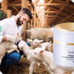 crema base tonificante tiande guide