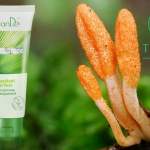 peeling cordyceps té verde tiande guide