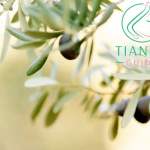 crema gel de ducha aceitunas 32602 tiande guide