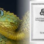 crema preventiva con grasa de serpiente tiande guide