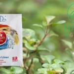 compresa antiinflamación diaria tiande guide