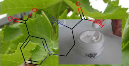 fenoxietanol conservantes en tiande guide