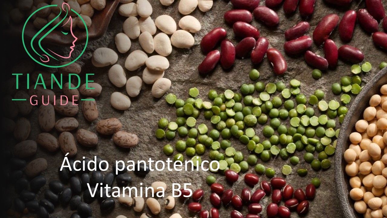 ácido pantoténico vitamina B5 tiande guide